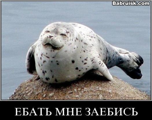 ебать мне заибись хуле!