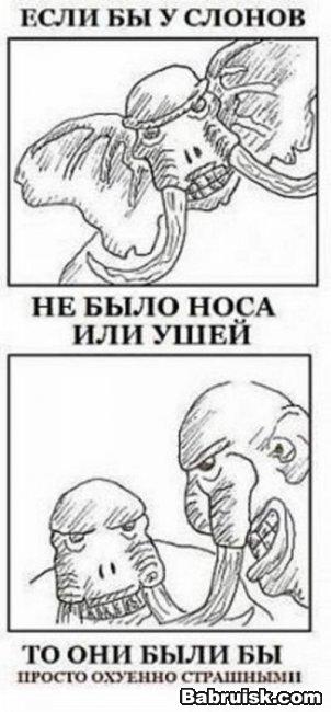 слон без хобота и ушей