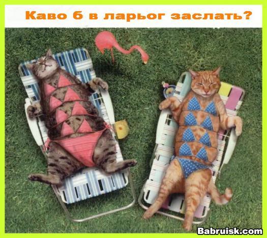 голые на пляже
