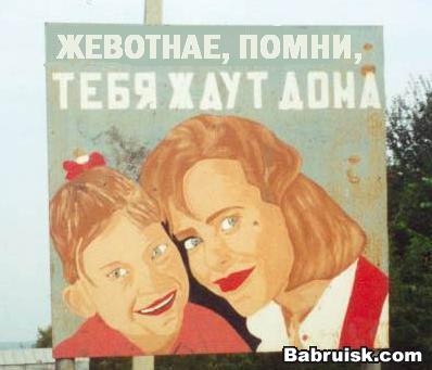 памятка для животных