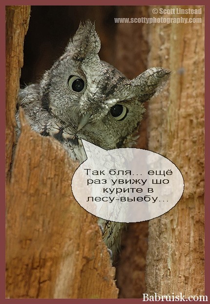 наркоманы