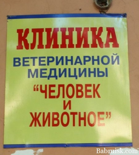 клиника для животных