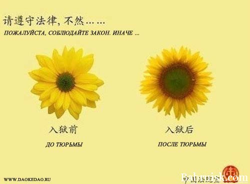 большое очко