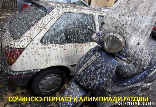 олимпиада в сочи