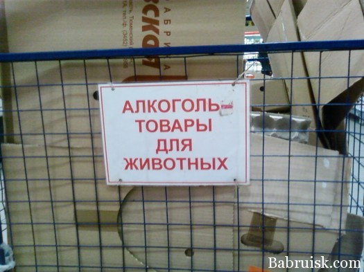 товары для животных