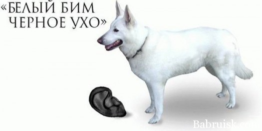 откусили нахуй ухо