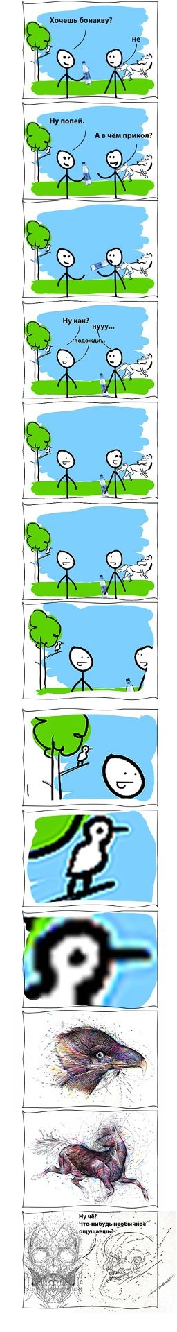 наркоприколы
