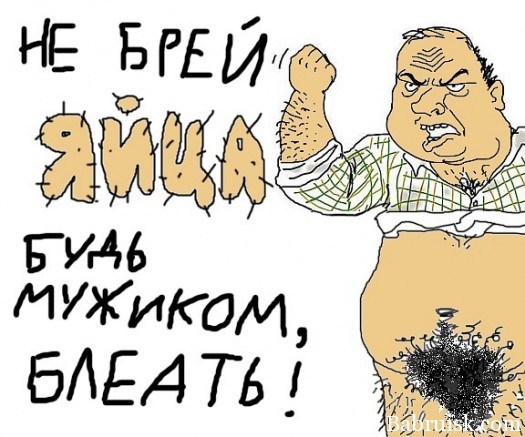 как побрить яйца. мануал для животных