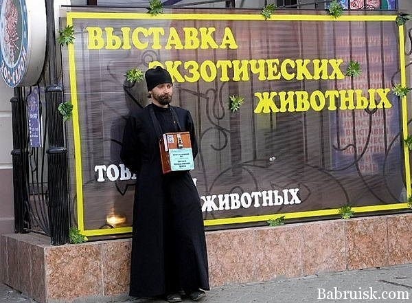 выставка экзотических животных