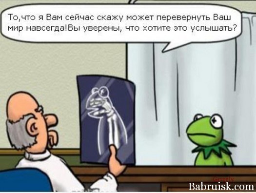 кермит