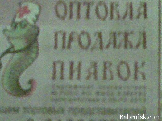 продажа пиявок