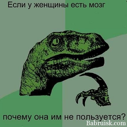 женский мозг