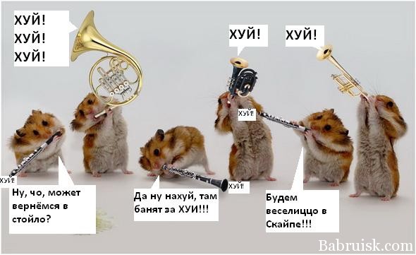 хуй - да нихуйа )