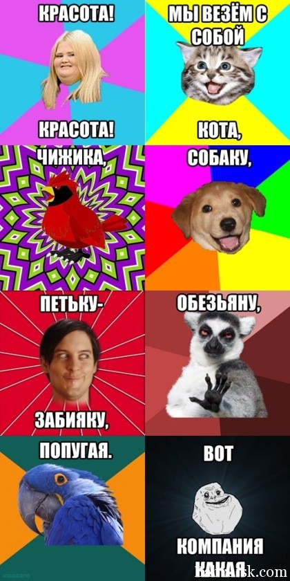 веселая компания