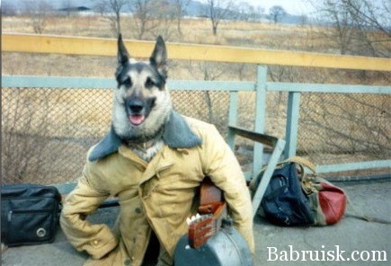 Алтай