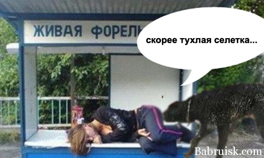 форель, бльооо