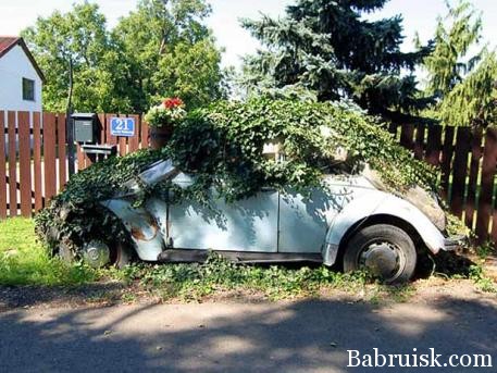 как правильно парковаться