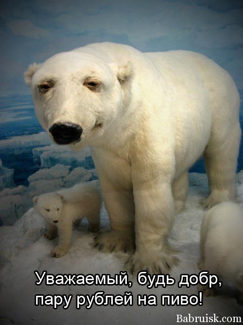 жесточайший бодун
