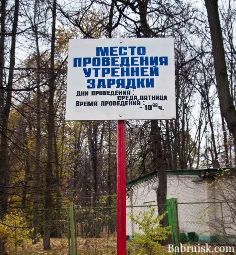 утренняя зарядка