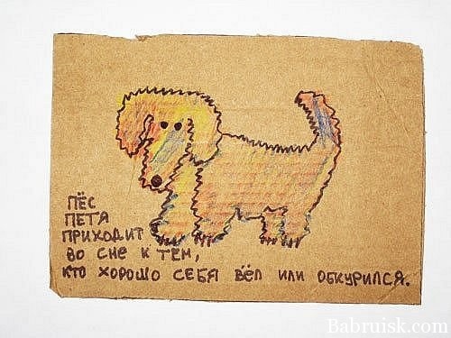 Пёс петя