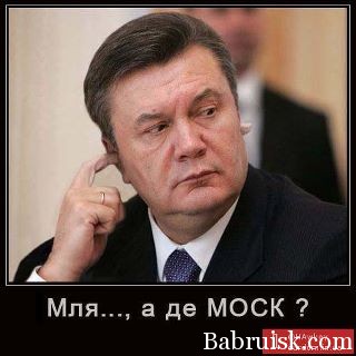 мозг януковича