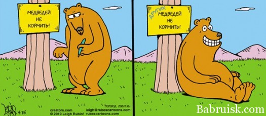 ёбаный хитрый медведь