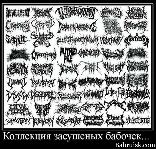 Самая большая коллекция бабочек