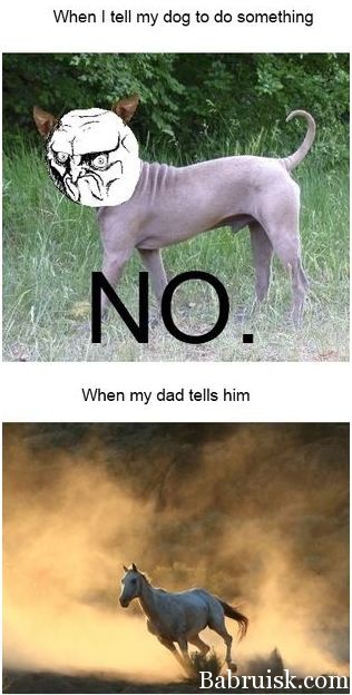ёбаные говнорожи