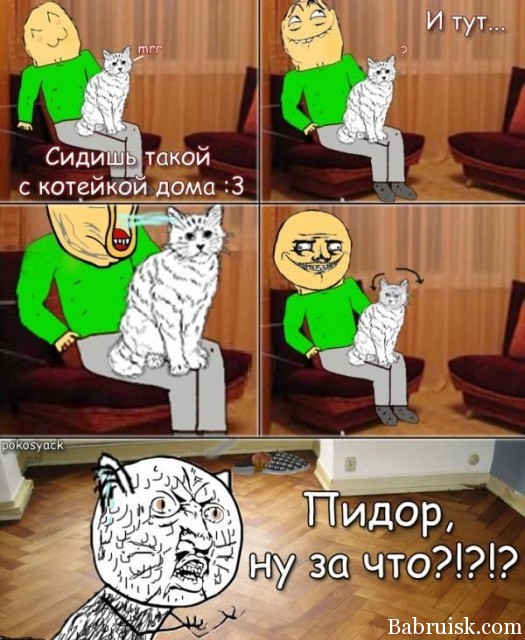 Кот-пидор расцарапал на хуй лицо!