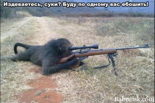 обезьяна со снайперкой