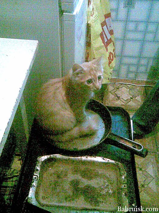вкусный, доолжны быть, котейко!
