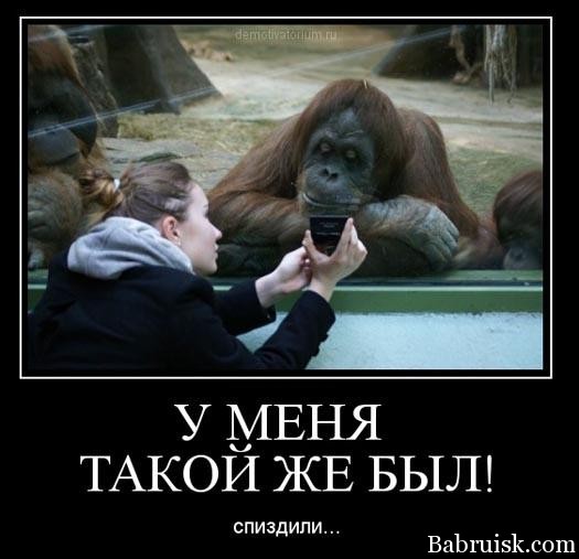 спиздили телефон