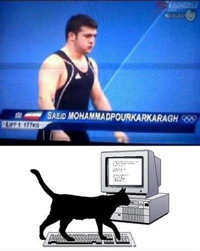 кот ходит по клавиатуре