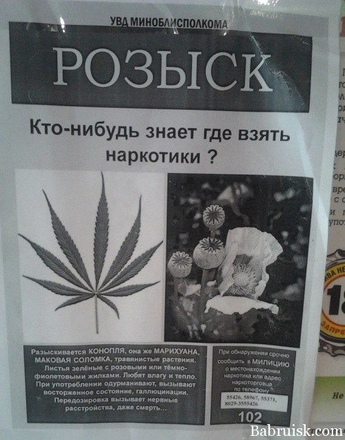 Как достать наркотики в москве фотографию листа конопли