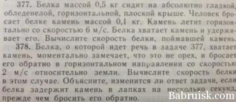 загадки от белки