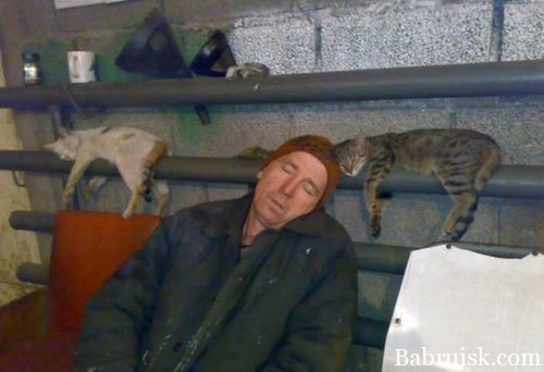баян про монорельсовых котов в говно