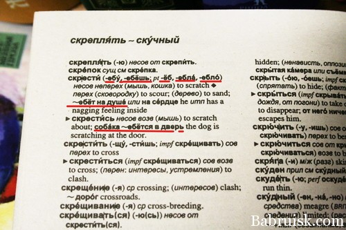 собака ебётся в дверь
