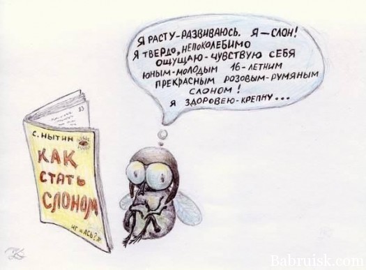 из мухи слона