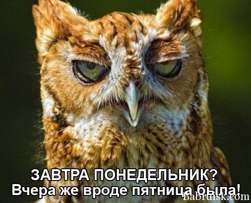 пиздец пришел