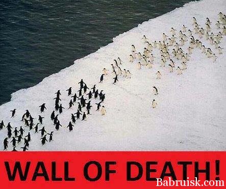 wall of death