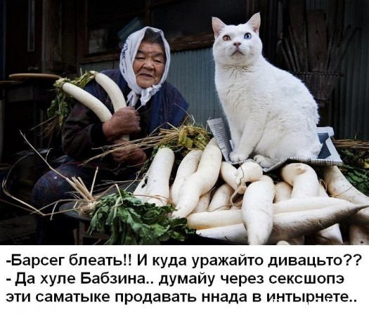 Блезг бабзина