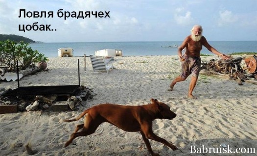 Деда-1