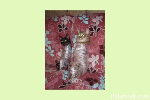 Что делать если кот бегает