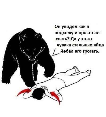 встреча с медведем