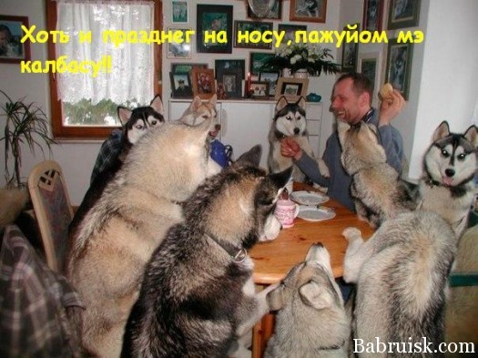 абет