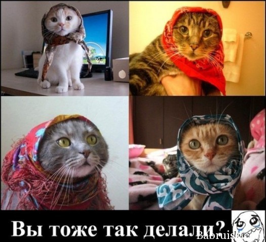 1330627755_27humour26