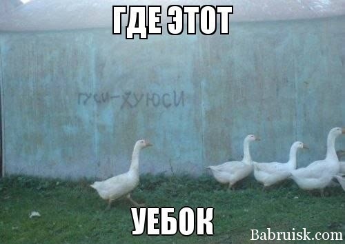 гуси-хуюси и уебок