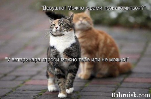 getImage