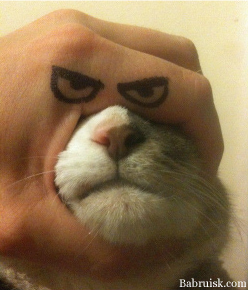 ах ты ж ебаный ты нахуй