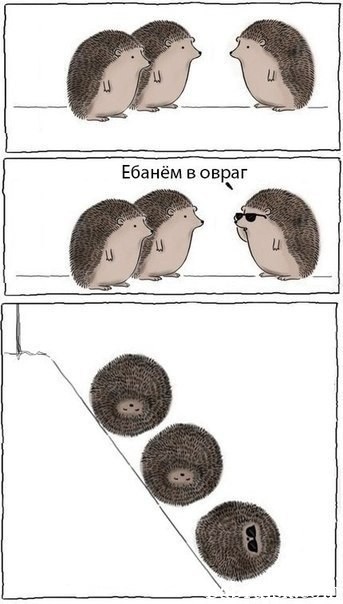 ебанем в овраг
